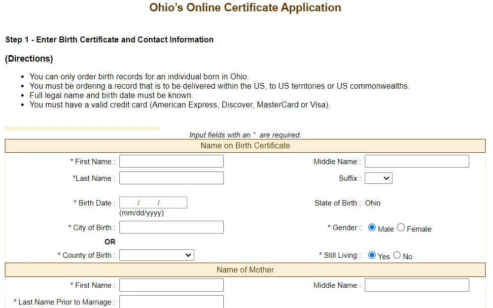 A screenshot of the application form used to obtain birth document.